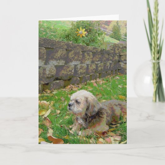 養育関係の空白のなカード カード (正面)