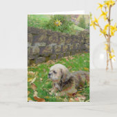 養育関係の空白のなカード カード (黄色い花)