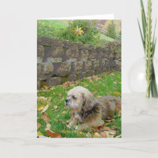 養育関係の空白のなカード カード