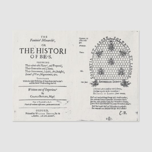 養蜂クイーンビー1609年刊行物 薄葉紙 (正面)