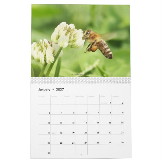 養蜂家のカレンダー2013年 カレンダー (1月 2027)