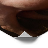 養豚農家 ポスター (角)