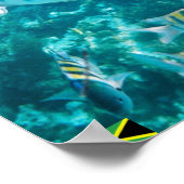 養魚専攻のジャマイカ ポスター (角)