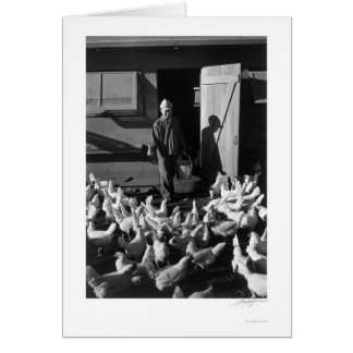 養鶏場Mori Nakashima 1943年