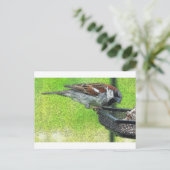 餌台の鳥 ポストカード (スタンド正面)