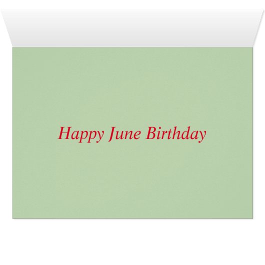 餌場でハミング鳥 (内部横(下))