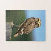 餌用ジグソーパズルの穴居鳥 ジグソーパズル (横)