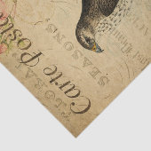 餌食フランスののカブトムシ 薄葉紙 (詳細)