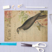 餌食フランスののカブトムシ 薄葉紙 (クラフト)