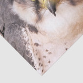 餌食《鳥》ハヤブサ 薄葉紙 (詳細)