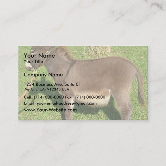 首にベルトを着けたロバ 名刺 (正面)