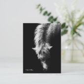 首のはがきの曲線 ポストカード (スタンド正面)