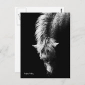 首のはがきの曲線 ポストカード (正面/裏面)