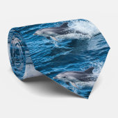 首のタイをはねかけているイルカ ネクタイ (ロール)