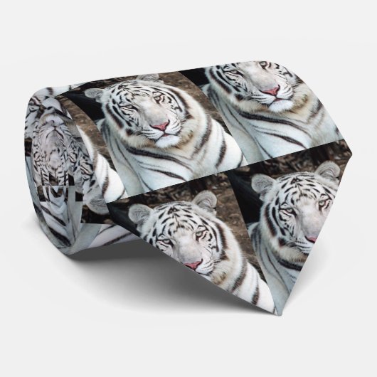 首のタイ ネクタイ (ロール)