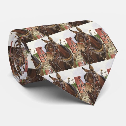 首のタイ、ラバ ネクタイ (ロール)