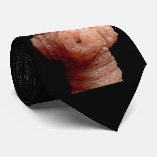 首のタイ- Spirometraのerinaceieuropaeiのサナダムシ ネクタイ (ロール)