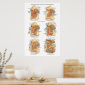 首のチャートの構造の表面的および深い層 ポスター (キッチン)