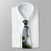 首のネクタイを探して見つける ネクタイ (タイ)