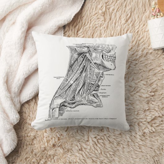 首の人間のヴィンテージの解剖学筋肉 クッション (ブランケット)
