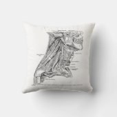 首の人間のヴィンテージの解剖学筋肉 クッション (裏面)