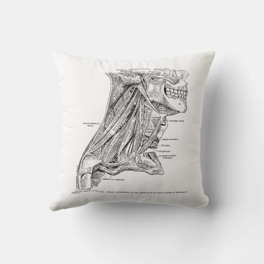 首の人間のヴィンテージの解剖学筋肉 クッション (裏面)