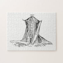 首の古い解剖学のイラストレーション筋肉