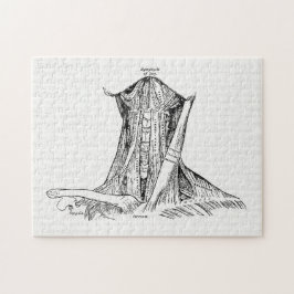 首の古い解剖学のイラストレーション筋肉 ジグソーパズル