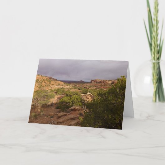 首の春トレイルCanyonlands国立公園 カード (正面)