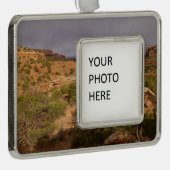首の春トレイルCanyonlands国立公園 シルバープレートフレームオーナメント (右)