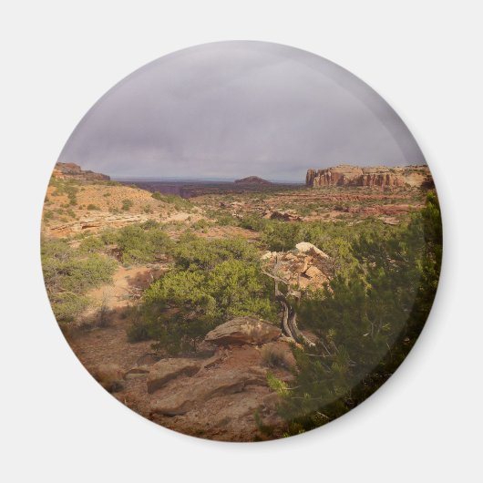 首の春トレイルCanyonlands国立公園 マグネット (正面)