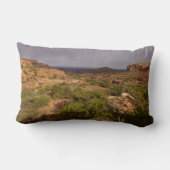 首の春トレイルCanyonlands国立公園 ランバークッション (裏面)