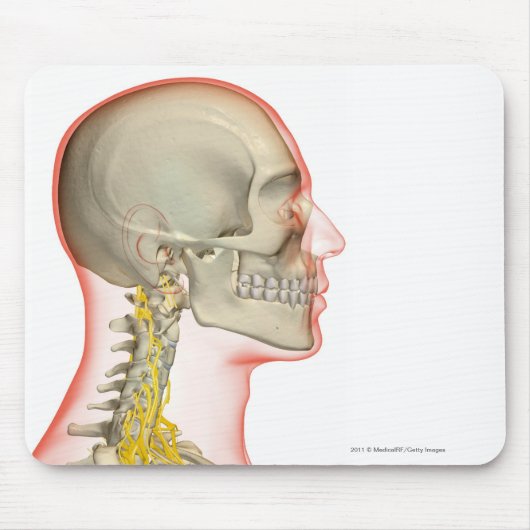 首の神経のレンダリング マウスパッド (正面)