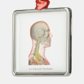 首の神経のレンダリング メタルオーナメント (左)