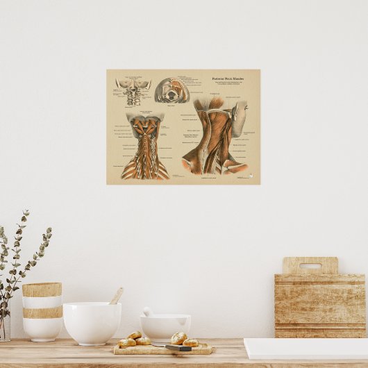 首の背骨の筋肉カイロプラクティックマッサージチャート ポスター (キッチン)