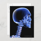 首の骨のクローズアップX線写真 ポストカード (正面/裏面)