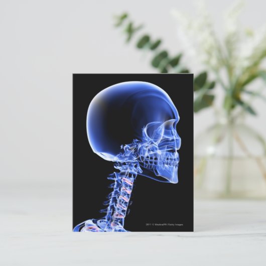 首の骨のクローズアップX線写真 ポストカード (スタンド正面)