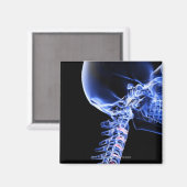 首の骨のX線画像 マグネット (正面/裏面)