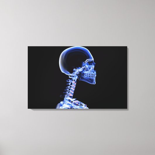 首の骨のX線 キャンバスプリント (正面)