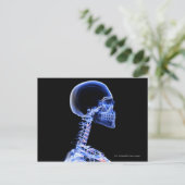 首の骨のX線 ポストカード (スタンド正面)