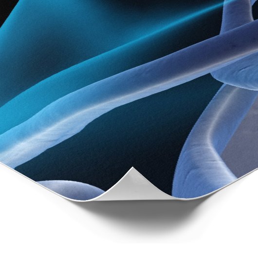 首の骨2 ポスター (角)