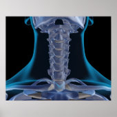 首の骨2 ポスター (正面)