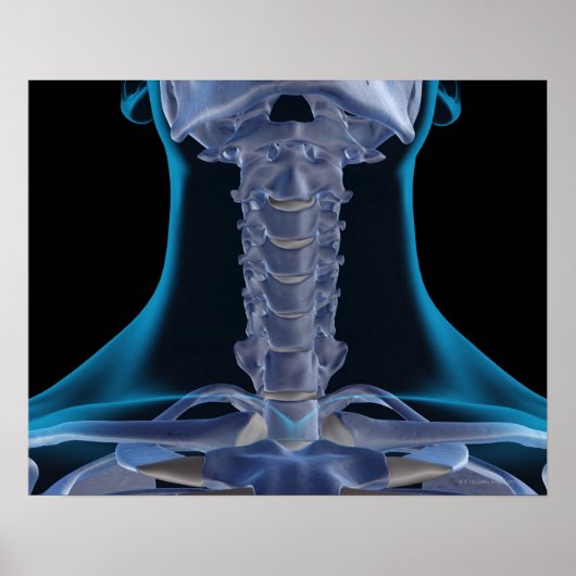 首の骨2 ポスター (正面)