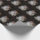 首輪のレースのよう猫 ラッピングペーパー (角)