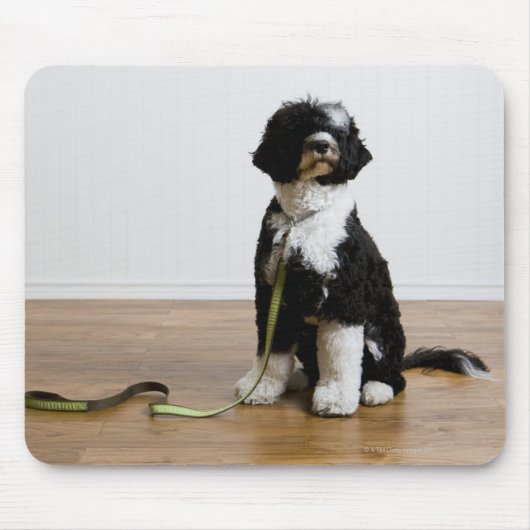 首輪の犬 マウスパッド (正面)