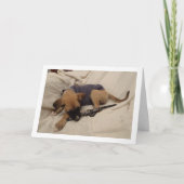 首輪を付けた子犬 カード (正面)