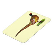 首輪キジのオンドリ マグネット (左側)