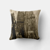 首都V クッション (裏面)