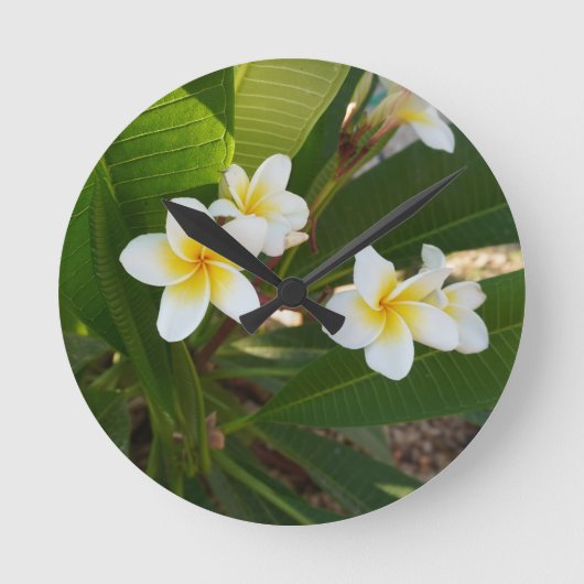 香りフランギパニ花 ラウンド壁時計 (正面)