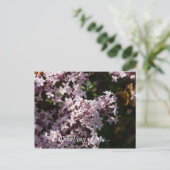 香り考え高い薄紫のはがき ポストカード (スタンド正面)